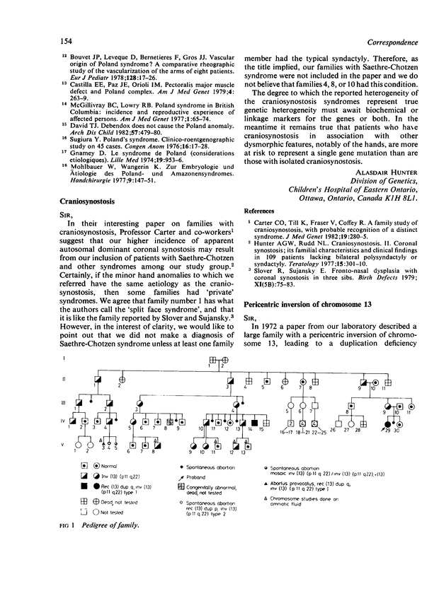 PDF extract preview
