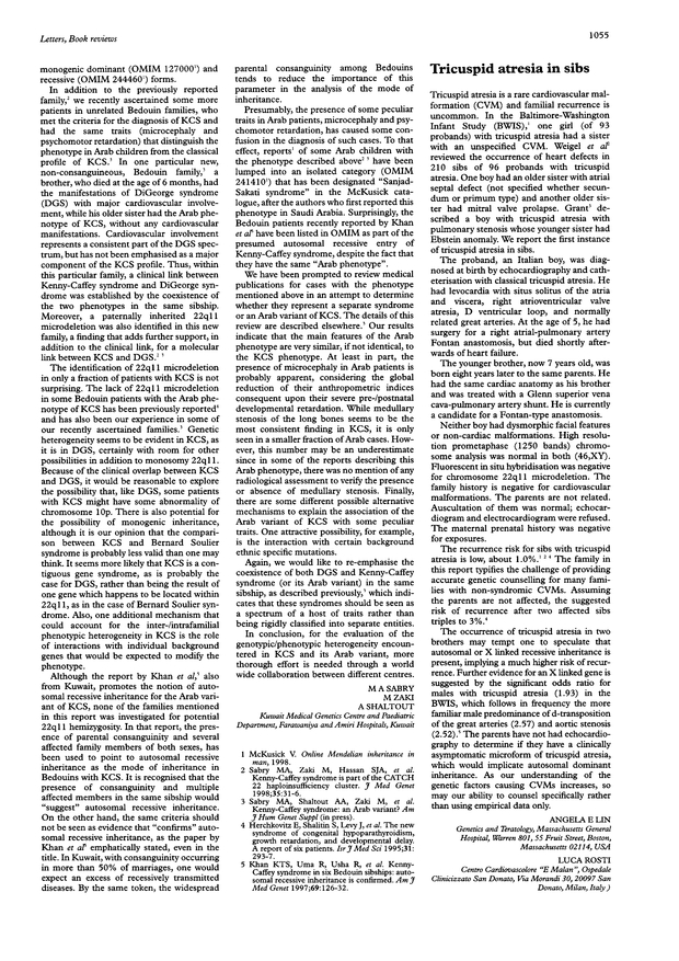 PDF extract preview