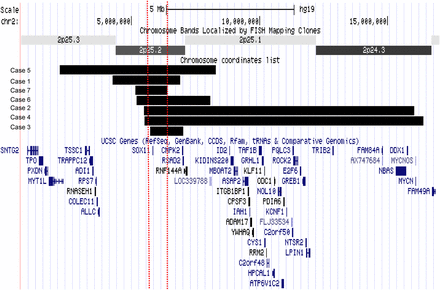 Figure 1